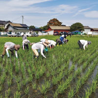 ニュース・記事画像