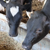 ニュース・記事画像