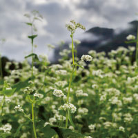 ニュース・記事画像