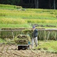 ニュース・記事画像