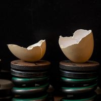 ニュース・記事画像