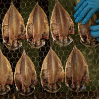 ニュース・記事画像