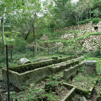 ニュース・記事画像