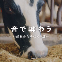 ニュース・記事画像