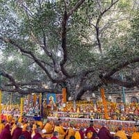 検証・再考・熟考「政治」と「推し活」――アイドル論的視座からの提言―― 3