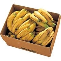 ニュース・記事画像