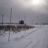 黒姫の、土と水と