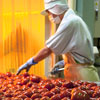 国産完熟トマトをシーズンパック！　組合員が原料生産に参加した「信州トマトジュース」製造の様子を紹介