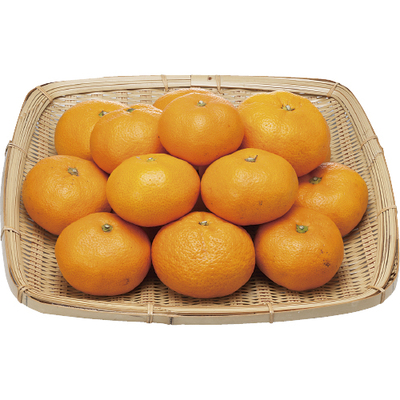 消費材画像