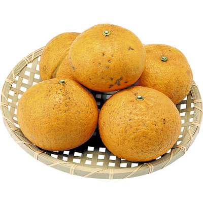 消費材画像
